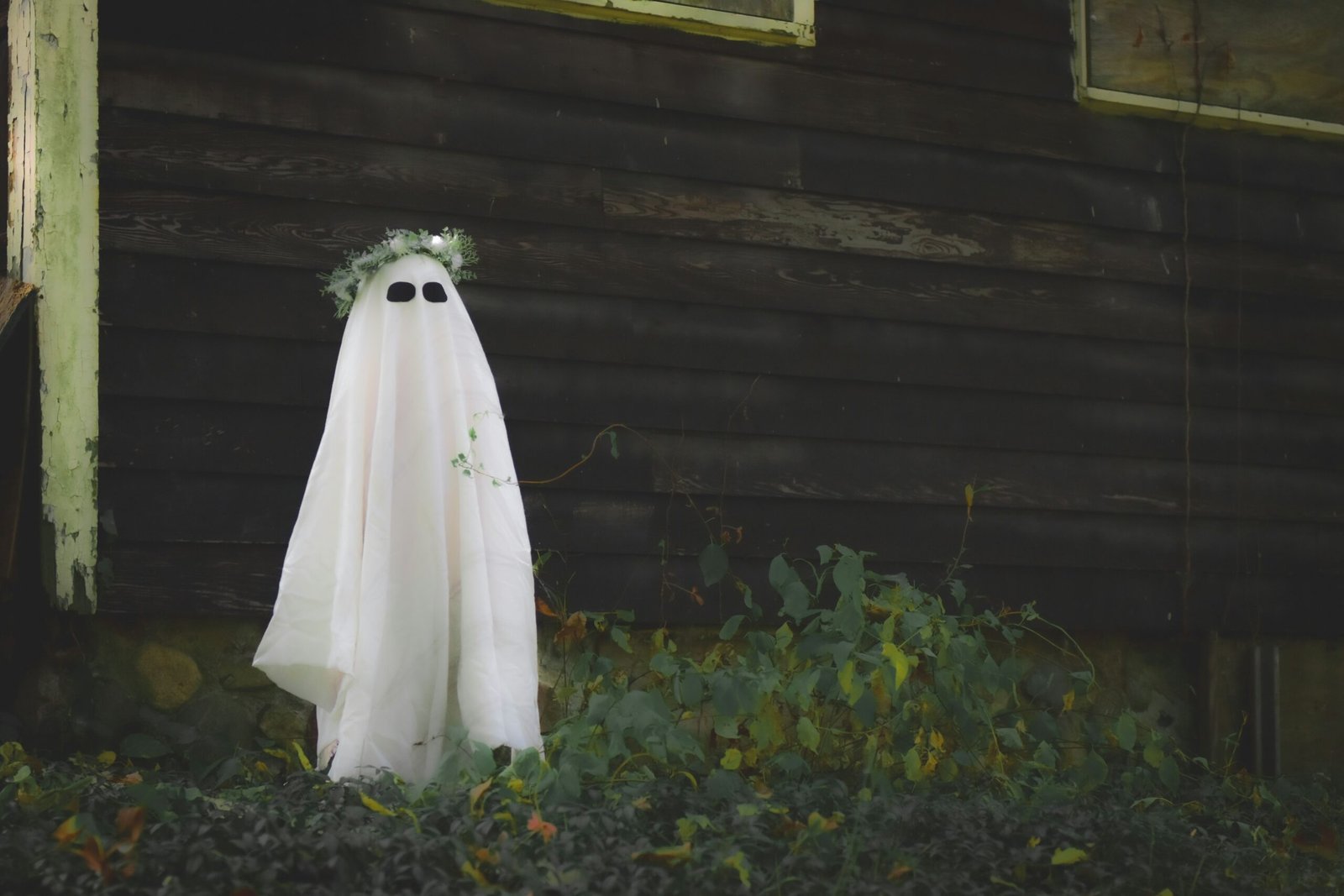 The Psychology of Ghosting: Why It Hurts and How to Heal